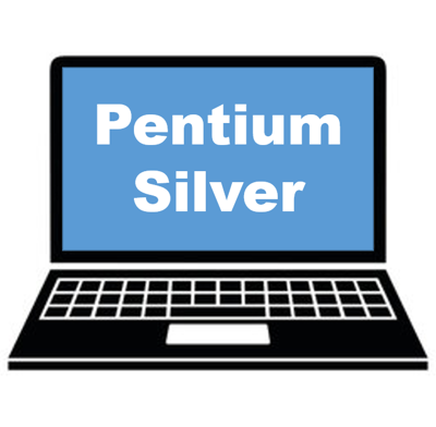 Asus Chromebook Series Pentium Silver